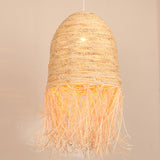 Load image into Gallery viewer, Rattan Weaving Dome Pendant Light Fixture with Fringe